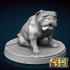 English Bulldog Miniature image