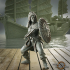 Pirate Guardian - Presupported image