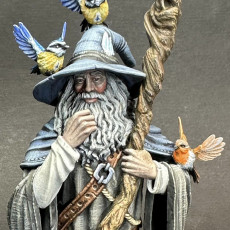 Picture of print of Wizard - Linus the marvelous- bust-  July 2023 - DRAGONBLADE-  MASTERS OF DUNGEONS QUEST