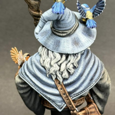 Picture of print of Wizard - Linus the marvelous- bust-  July 2023 - DRAGONBLADE-  MASTERS OF DUNGEONS QUEST