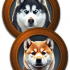 Canine Companions - 16 Pack VTT / Printable Tokens image
