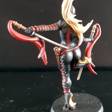 Picture of print of Aerix - Sanctified Assassin
