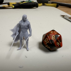 Picture of print of Eclipse of Drow - Tabletop Miniatures (Pre-Supported)