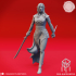 Eclipse of Drow - Tabletop Miniatures (Pre-Supported) image