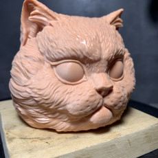 Picture of print of Cat Head 01