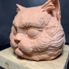 Picture of print of Cat Head 01