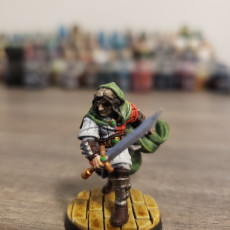 Picture of print of Elf Swordsman [PRE-SUPPORTED]