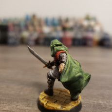 Picture of print of Elf Swordsman [PRE-SUPPORTED]
