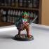 Elf Swordsman [PRE-SUPPORTED] print image