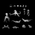 Animal Set 10 - Sea II - Sting Rays, Octopus, Jellyfish... image
