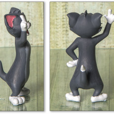 Picture of print of Tom Cat - - Onepiece