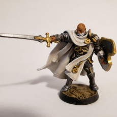 Picture of print of Human Male Paladin  - RPG Hero Character D&D 5e - Titans of Adventure Set 05