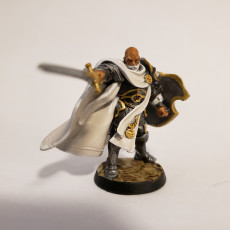Picture of print of Human Male Paladin  - RPG Hero Character D&D 5e - Titans of Adventure Set 05