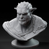 Ice Troll Bust pre-supported image