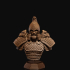 Jian Warrior Bust image