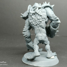 Picture of print of Fantasy Football professional Troll Bruiser