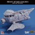 Pirate Attack Coaches - Mini-Ships image