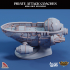 Pirate Attack Coaches - Mini-Ships image
