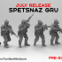 TurnBase Miniatures: Wargames - Spetsnaz GRU image