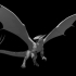 Gray Dragon image