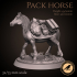 Pack horse image