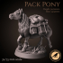 Pack pony image