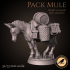 Pack Mule image