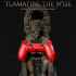 Tlamatini, the Wise Controller Holder image