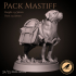 Pack mastiff image