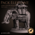 Pack elephant image