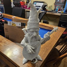 Picture of print of Gnome Bard