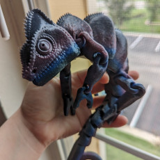 Picture of print of Flexi Chameleon