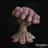 Anemone Mushroom image