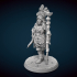 Female Native American Nations Cleric or Shaman Miniature image