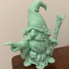 Picture of print of Gonk Gnome Wizard
