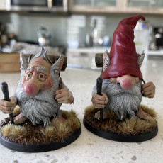Picture of print of Gonk Gnome Wanderers