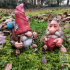Gonk Gnome Wanderers image