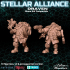 Stellar Alliance saison 1, 5 heroes in 10 figurines - BUNDLE image