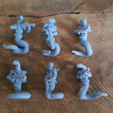 Picture of print of Combat Tails - SCALE Troopers