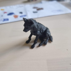 Picture of print of Spotted Hyena Pup