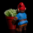 Gardening Gnome - Pebbles image