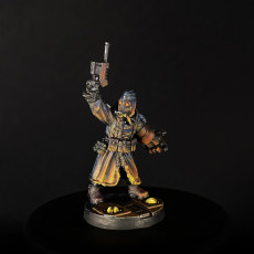 Picture of print of GrimGuard Frostwatch