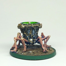 Picture of print of The Coven: Miniatures Collection