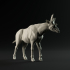 Sivatherium walking 1-35 scale pre-supported prehistoric animal image