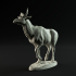Sivatherium 1-35 scale pre-supported prehistoric animal image