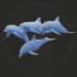 Dolphin Set image