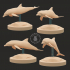 Dolphin Set image
