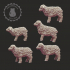 Lamb Set image