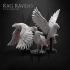 August Release - 2023 - Rag Ravens image