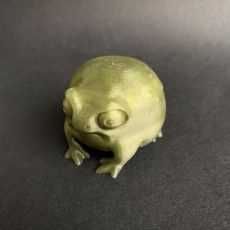 Picture of print of Rain Frog